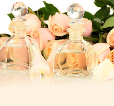 Latest Launches Perfumes  & Cosmetics